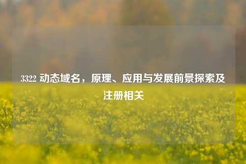 3322 动态域名，原理、应用与发展前景探索及注册相关
