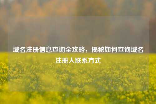 域名注册信息查询全攻略，揭秘如何查询域名注册人联系方式