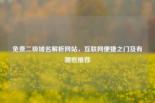      解析网站，互联网便捷之门及有哪些推荐