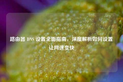 路由器 DNS 设置全面指南，深度解析如何设置让网速变快