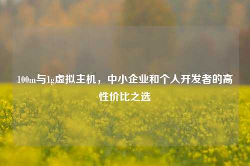 100m与1g虚拟主机，中小企业和个人开发者的高性价比之选