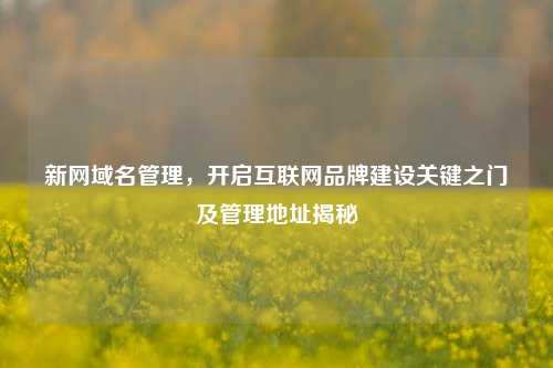 新网域名管理，开启互联网品牌建设关键之门及管理地址揭秘