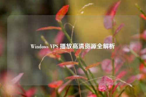 Windows VPS 播放高清资源全解析