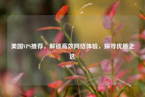 美国VPS推荐，解锁高效     体验，探寻优质之选