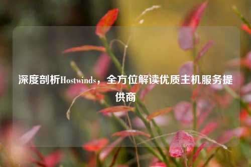 深度剖析Hostwinds，全方位解读优质主机服务提供商