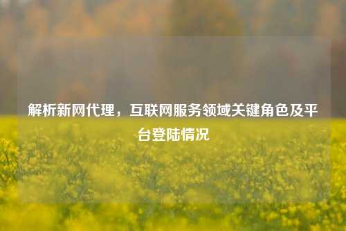 解析新网     ，互联网服务领域关键角色及平台登陆情况