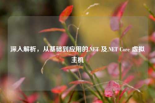 深入解析，从基础到应用的.NET 及.NET Core 虚拟主机