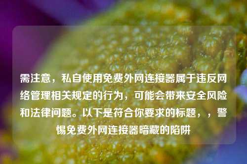 需注意，私自使用免费外网连接器属于违反     管理相关规定的行为，可能会带来安全风险和法律问题。以下是符合你要求的标题，，警惕免费外网连接器暗藏的陷阱
