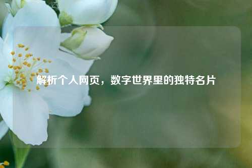 解析个人网页，数字世界里的独特名片