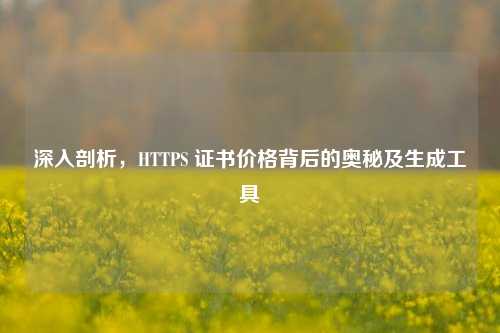 深入剖析，HTTPS 证书价格背后的奥秘及生成工具