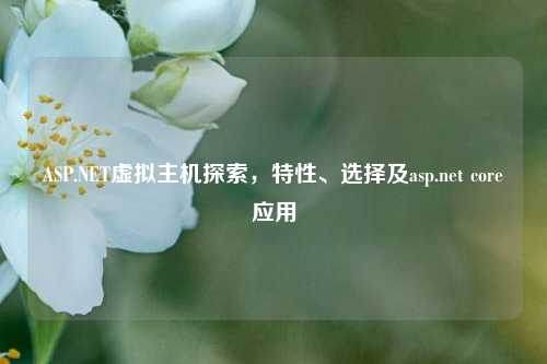 ASP.NET虚拟主机探索，特性、选择及asp.net core应用