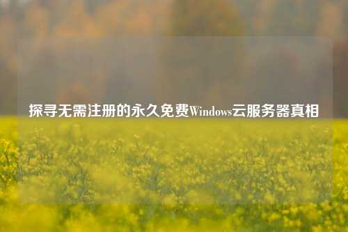 探寻无需注册的永久免费Windows云服务器真相