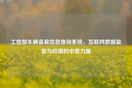 工信部车辆备案信息查询系统，互联网数据监管与应用的中坚力量