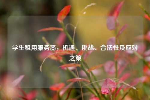 学生租用服务器，机遇、挑战、合法性及应对之策
