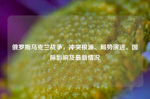 俄罗斯乌克兰战争，冲突根源、局势演进、国际影响及最新情况