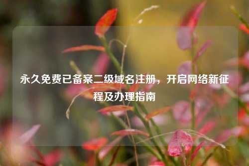 永久免费已备案二级域名注册，开启     新征程及办理指南