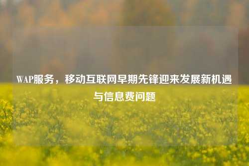 WAP服务，移动互联网早期先锋迎来发展新机遇与信息费问题