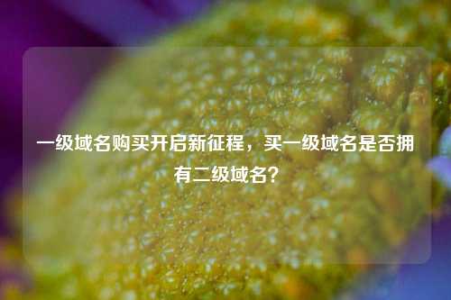 一级域名购买开启新征程，买一级域名是否拥有二级域名？