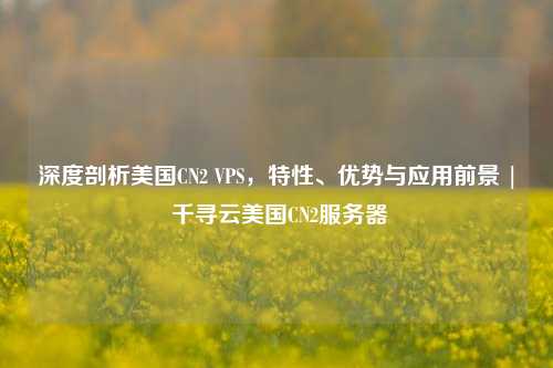 深度剖析美国CN2 VPS，特性、优势与应用前景 | 千寻云美国CN2服务器