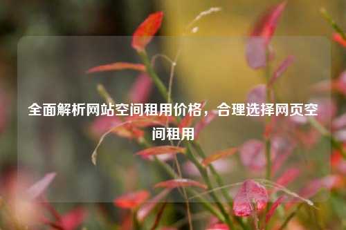 全面解析网站空间租用价格，合理选择网页空间租用