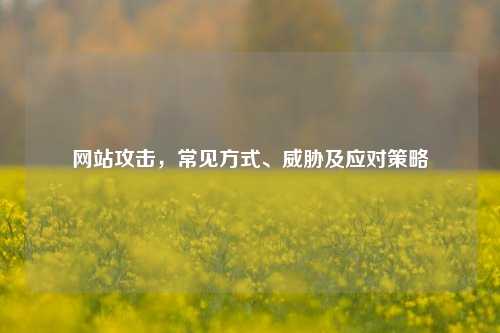 网站攻击，常见方式、威胁及应对策略