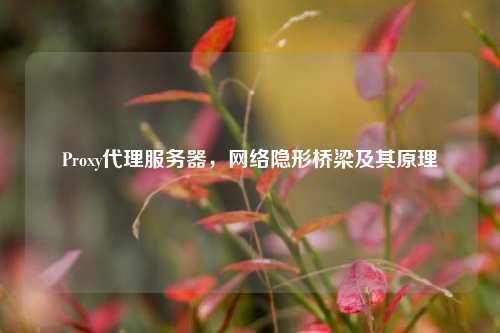 Proxy     服务器，     隐形桥梁及其原理
