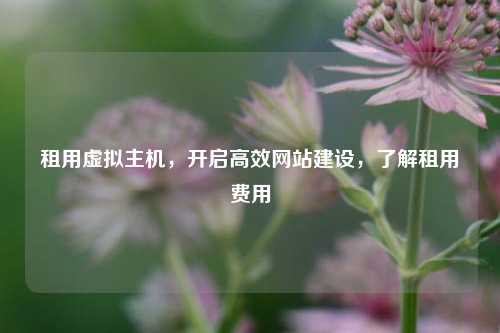 租用虚拟主机，开启高效网站建设，了解租用费用
