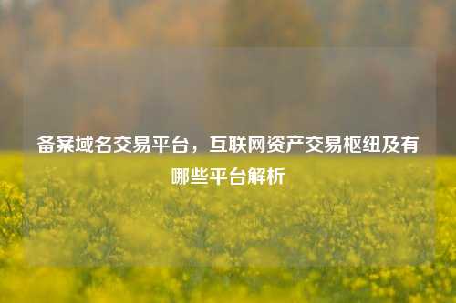 备案域名交易平台，互联网资产交易枢纽及有哪些平台解析