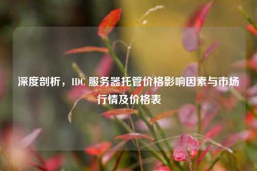 深度剖析，IDC 服务器托管价格影响因素与市场行情及价格表