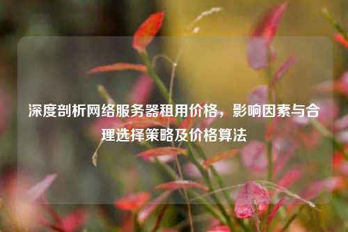 深度剖析     服务器租用价格，影响因素与合理选择策略及价格算法