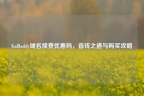 GoDaddy域名续费优惠码，省钱之道与购买攻略