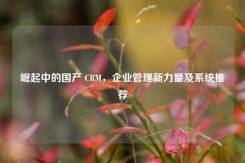 崛起中的国产 CRM，企业管理新力量及系统推荐