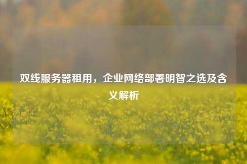 双线服务器租用，企业     部署明智之选及含义解析