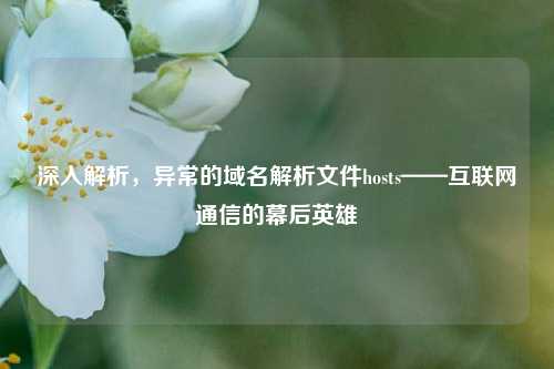 深入解析，异常的域名解析文件hosts——互联网通信的幕后英雄
