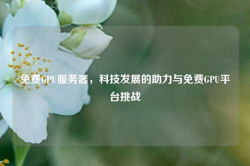 免费GPU服务器，科技发展的助力与免费GPU平台挑战