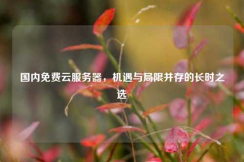 国内免费云服务器，机遇与局限并存的长时之选