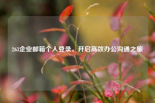 263企业邮箱个人登录，开启高效办公沟通之旅