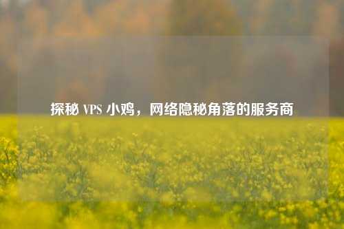 探秘 VPS 小鸡，     隐秘角落的服务商