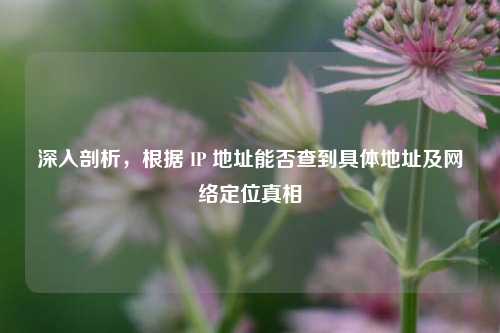深入剖析，根据 IP 地址能否查到具体地址及     定位真相