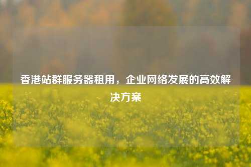 香港站群服务器租用，企业     发展的高效解决方案
