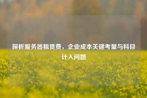 探析服务器租赁费，企业成本关键考量与科目计入问题