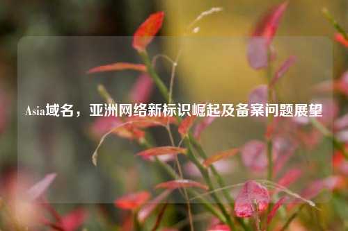 Asia域名，亚洲     新标识崛起及备案问题展望