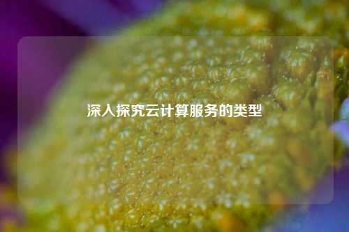 深入探究云计算服务的类型