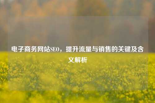 电子商务网站SEO，提升流量与销售的关键及含义解析