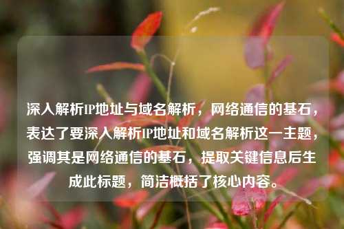深入解析IP地址与域名解析，     通信的基石，表达了要深入解析IP地址和域名解析这一主题，强调其是     通信的基石，提取关键信息后生成此标题，简洁概括了核心内容。