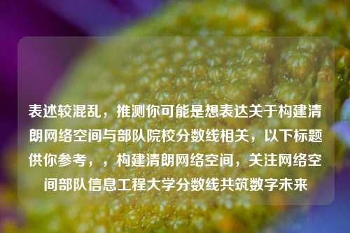 表述较混乱，推测你可能是想表达关于构建清朗     空间与部队院校分数线相关，以下标题供你参考，，构建清朗     空间，关注     空间部队信息工程大学分数线共筑数字未来