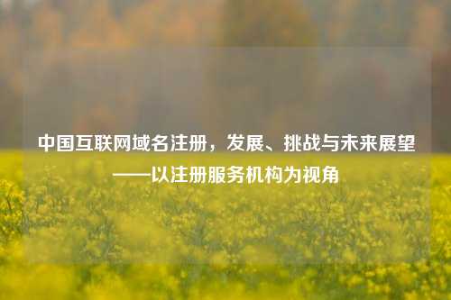 中国互联网域名注册，发展、挑战与未来展望——以注册服务机构为视角