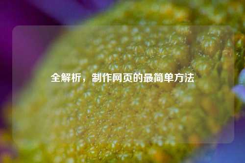 全解析，     网页的最简单     