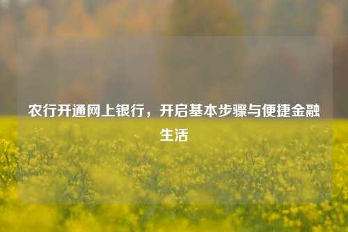农行开通网上银行，开启基本步骤与便捷金融生活