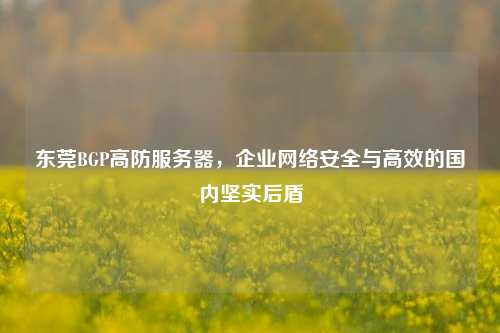 东莞BGP高防服务器，企业     安全与高效的国内坚实后盾